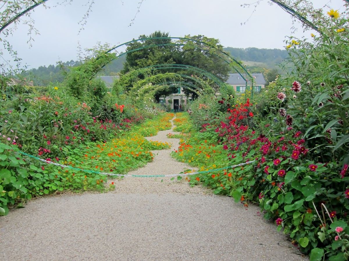 garden and flowers