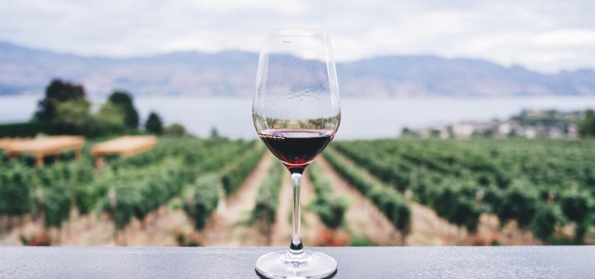 glass of wine at one of Lisbon's wineries