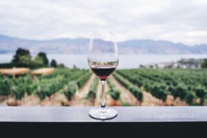 Your Ultimate Guide to the 8 Best Wineries Near San Sebastian