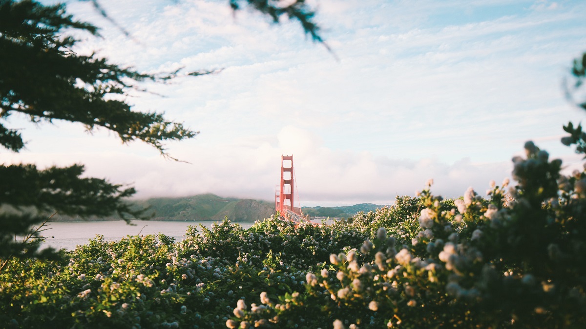 Get a Taste For The City At These 8 Picnic Spots In San Francisco