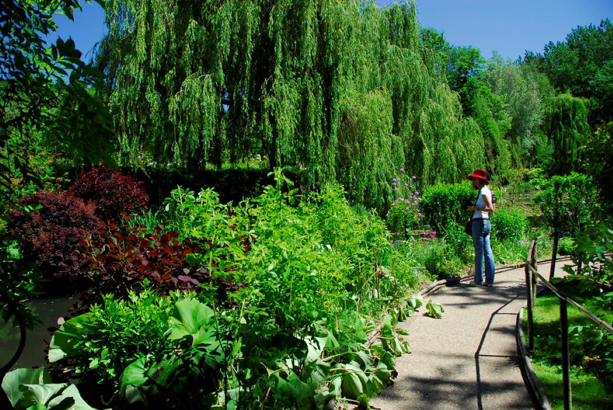 lady walking in garden