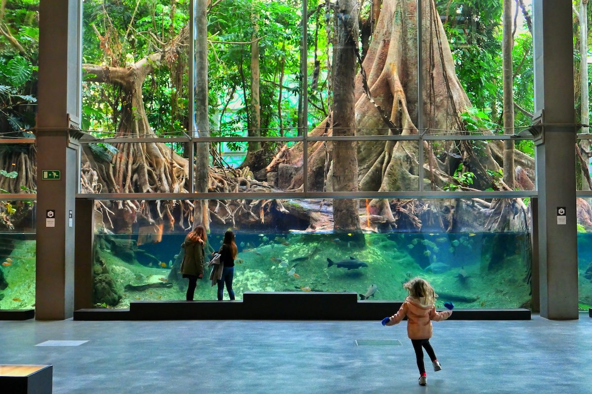 children exploring aquarium