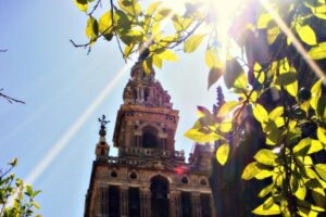 Five Free Things to do in Seville
