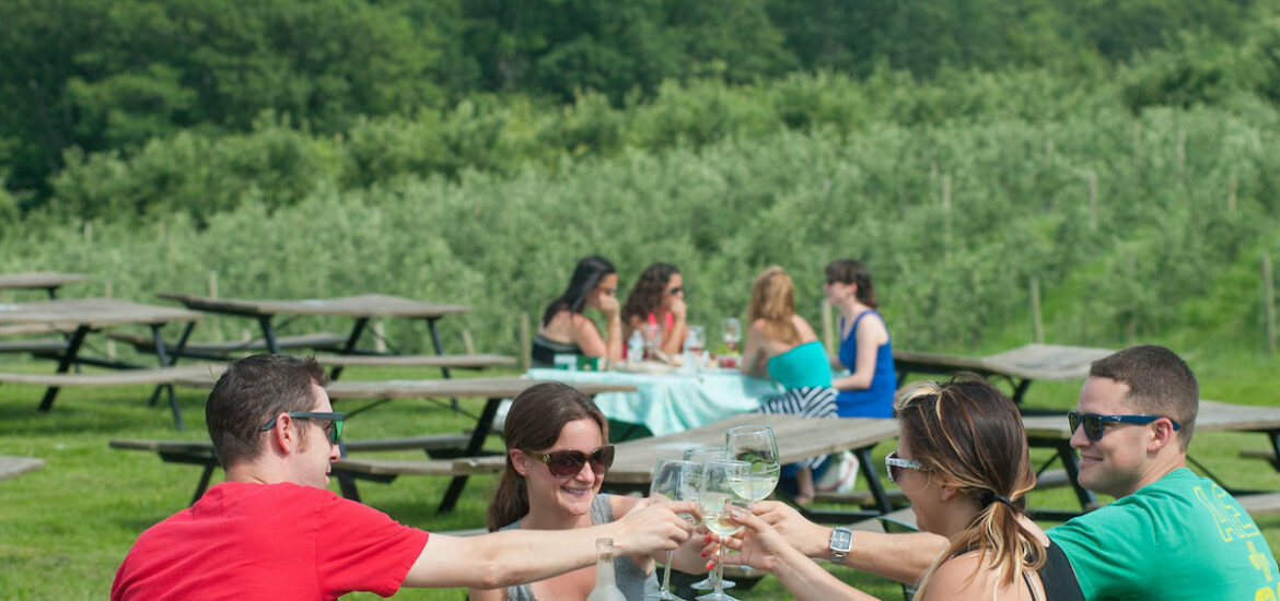 four people sit around a picnic table outside with a vineyard in the background