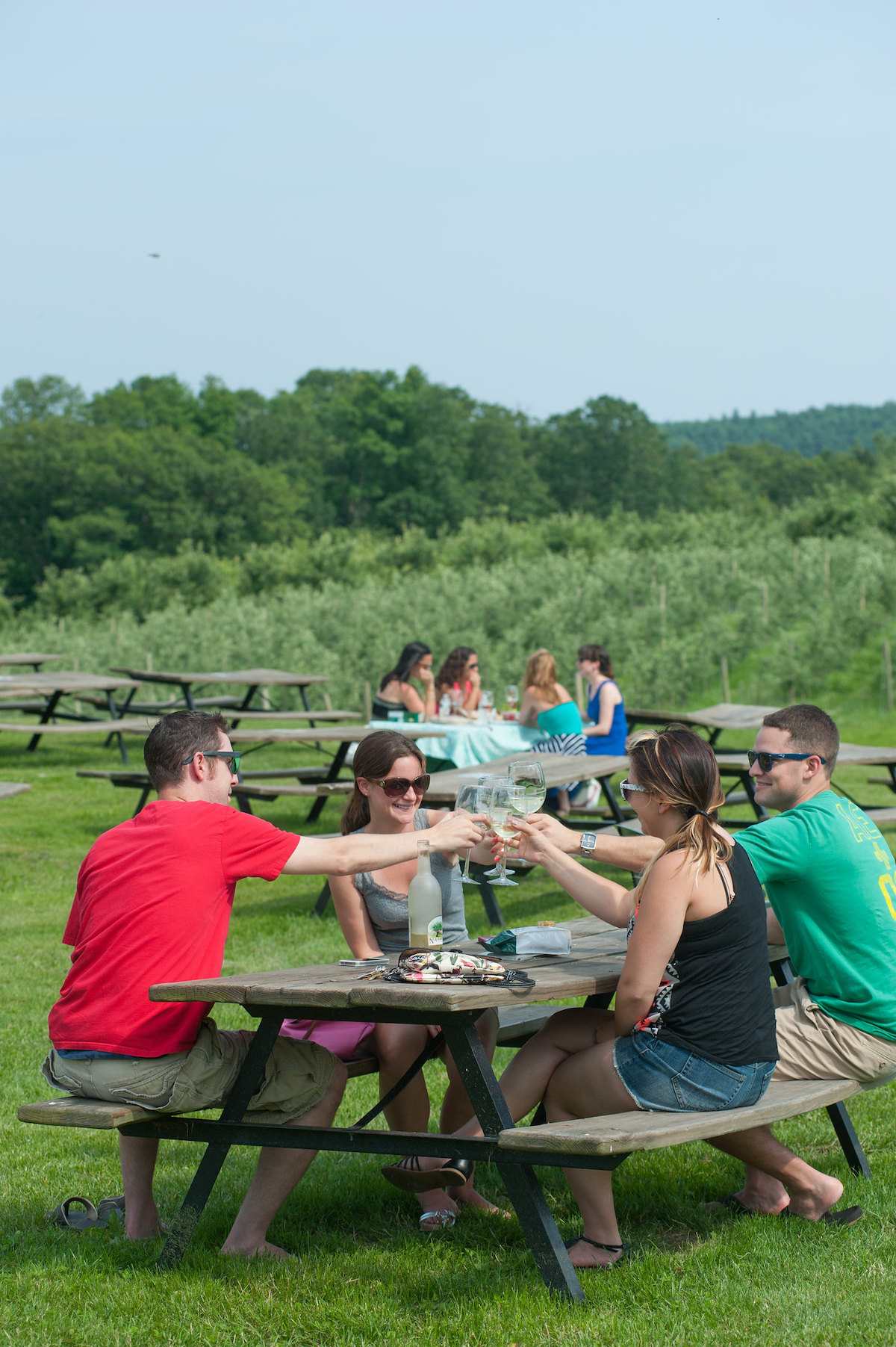 Sip, Sip, Hooray! 11 Amazing Wineries in Massachusetts