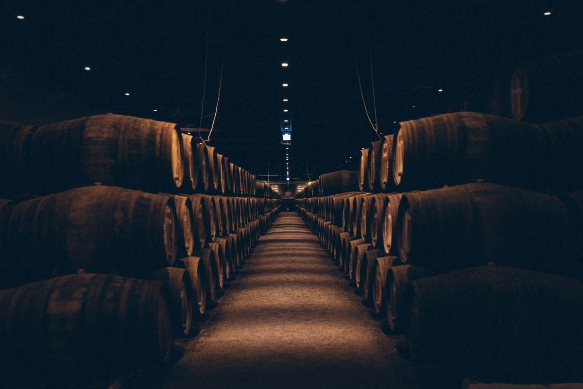 barrels of wine at winery