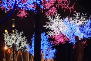 What to do in Barcelona in December