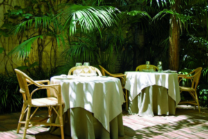 Where to Eat in Gracia: Our Barcelona Restaurant Guide