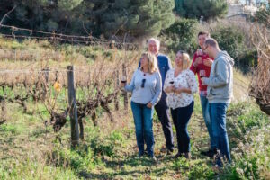 7 Spectacular Madrid Wineries Worth a Visit