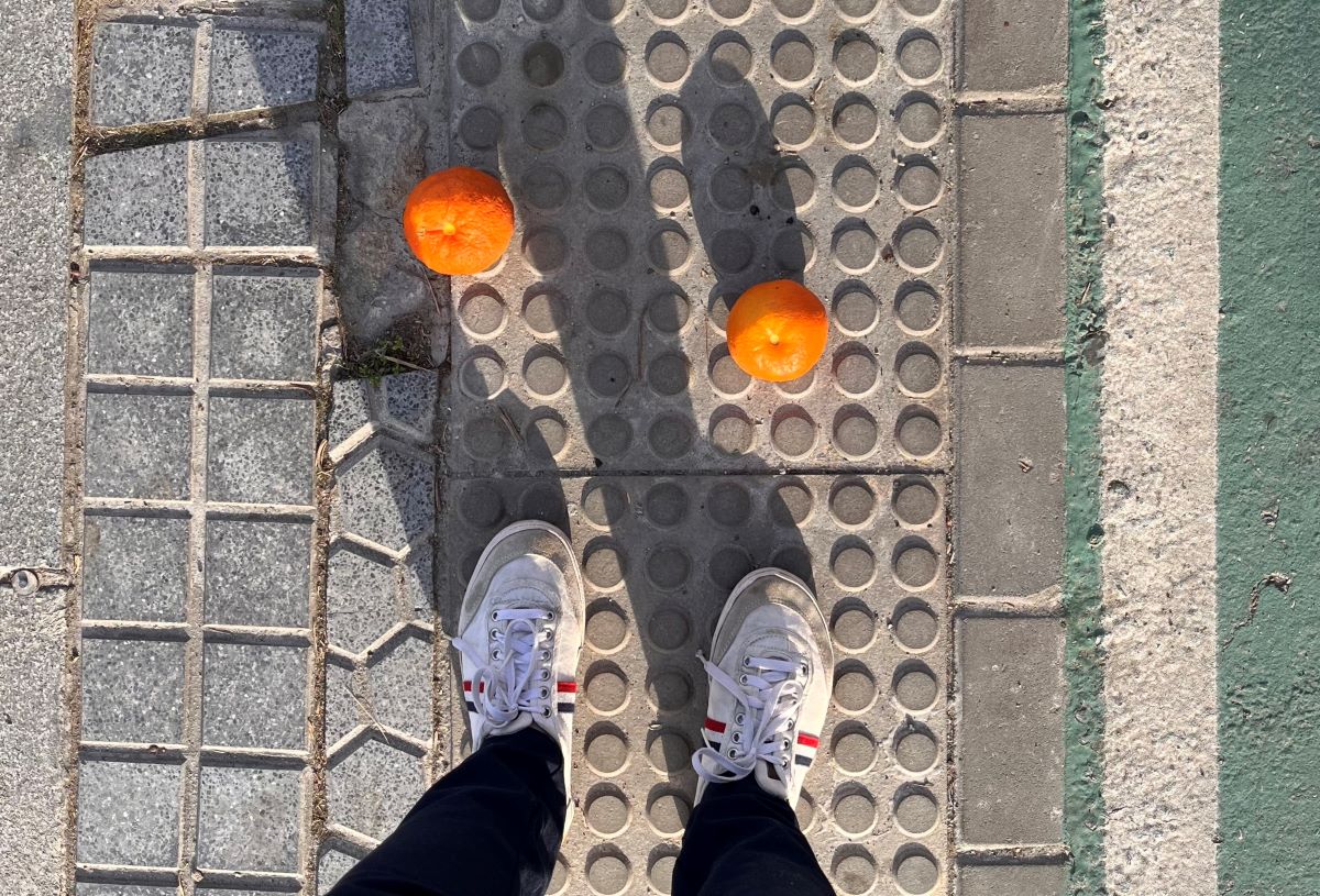 seville oranges