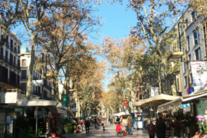 Barcelona Neighborhood Guide