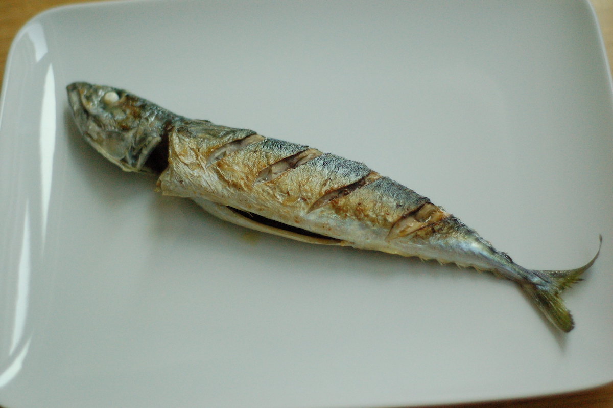 Mackerel in Lisbon