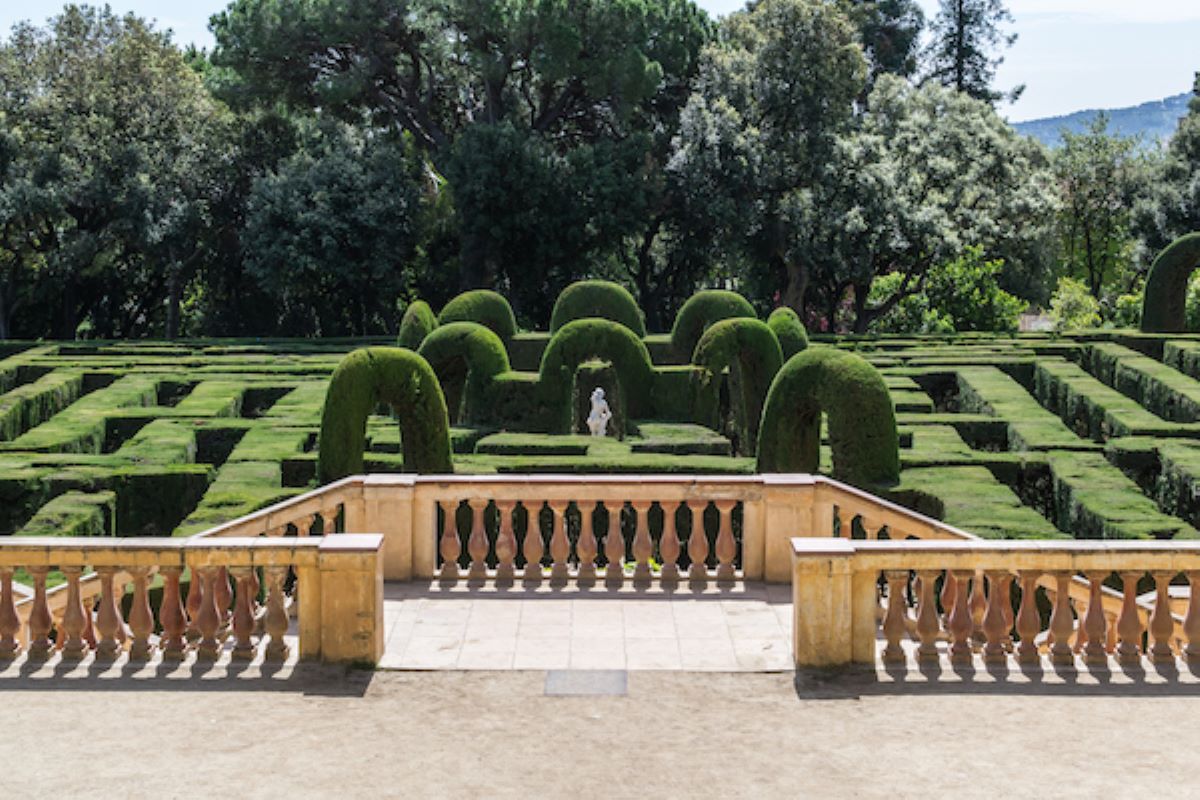 Walkway leading down into labyrinth made out of lush greenery .