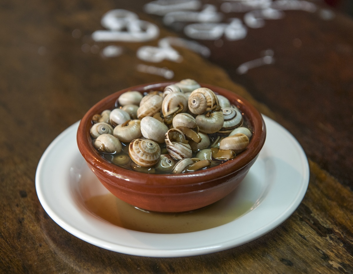 plate with snails