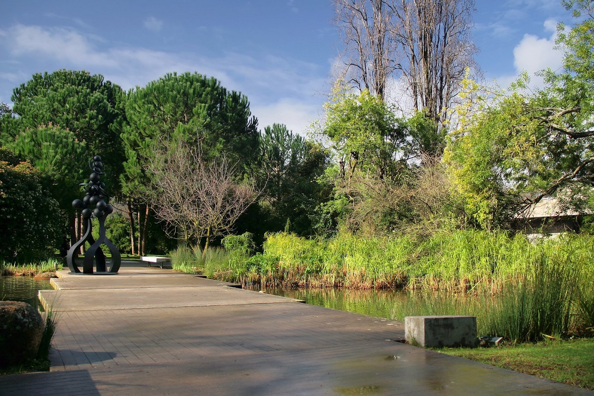 walking path surrounded by greenery