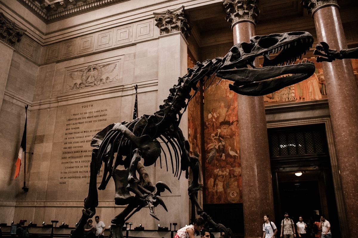 The 15 Best Museums in NYC: Must-Visit Spots for Art, History & Culture
