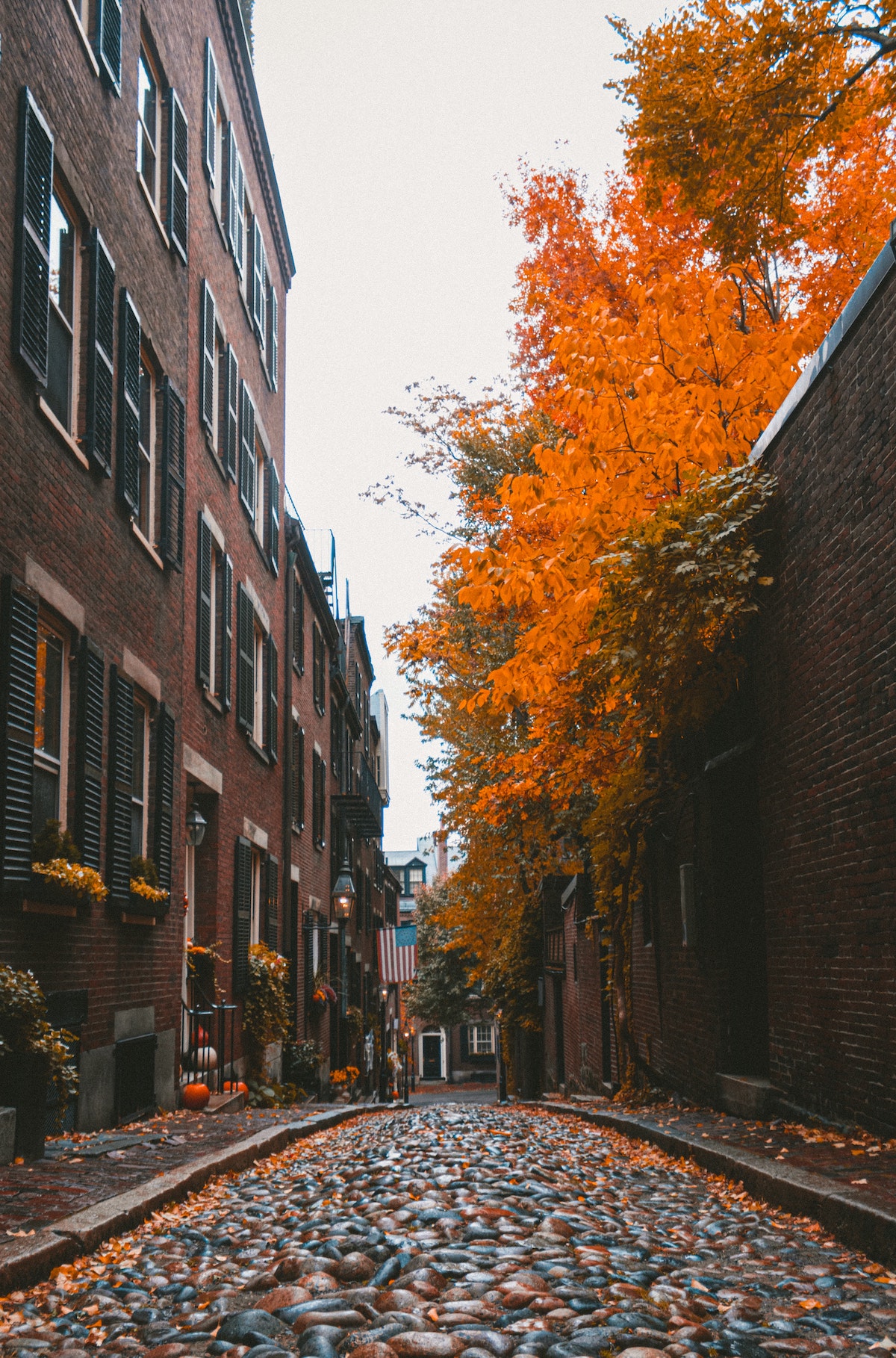 Boston in Fall: What To See & Do [GUIDE 2024]