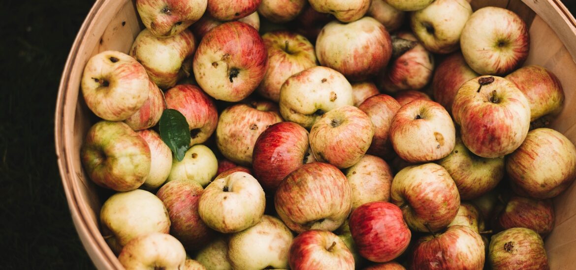 Cider apples in a basket