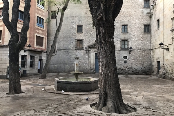 Many of the best places to take pictures in Barcelona are hidden where few tourists will ever find them.