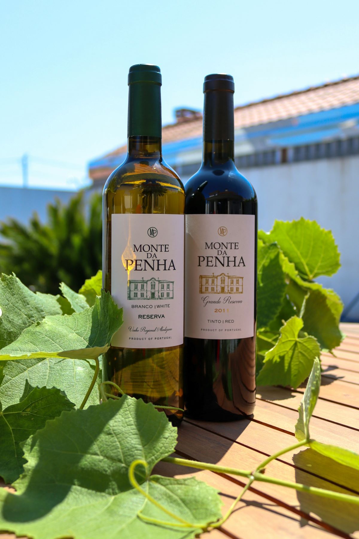 Two Portuguese wines at a vineyard 