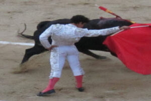 Bullfighting: Yay or nay?