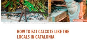 5 Things to Eat in Barcelona RIGHT NOW!