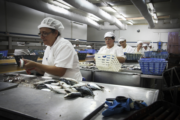 As the most successful canning factory in southern Portugal, Conserveira do Sul puts the well-being of its workers first.