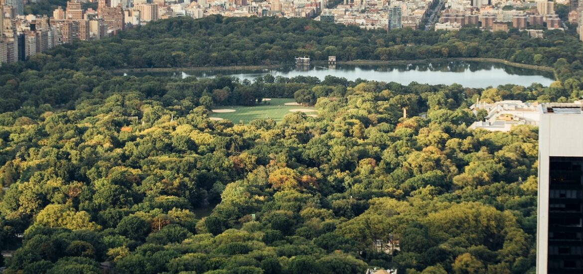 nyc Central Park