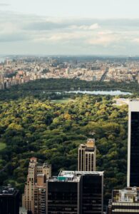 8 Great Restaurants Near Central Park