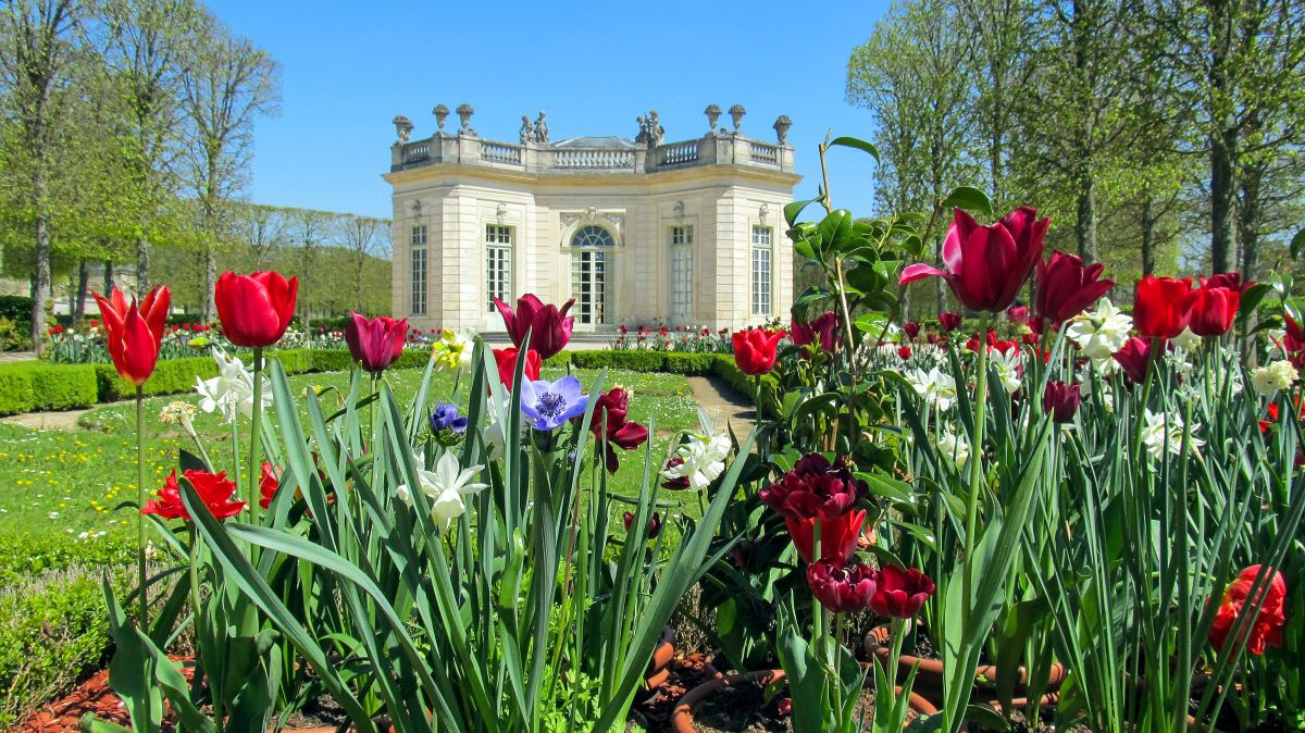 6 Best Day Trips from Paris: Giverny, Reims, & More
