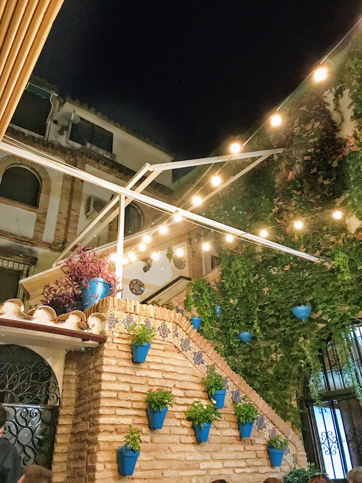Interior courtyard decorated with string lights, green plants, and flowers in blue pots affixed to a brick wall.