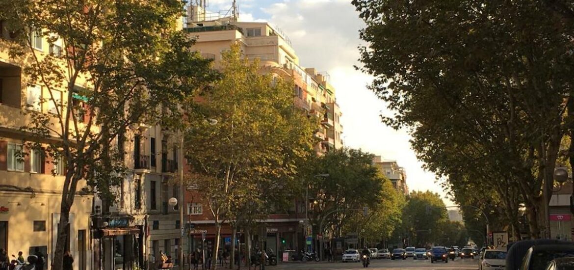 City street lined with green and yellow trees in the fall.