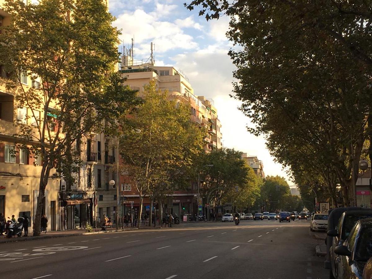 A Love Letter to Palos de la Frontera