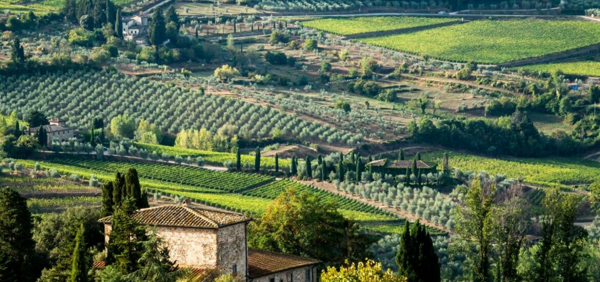 scenic green hills and old house