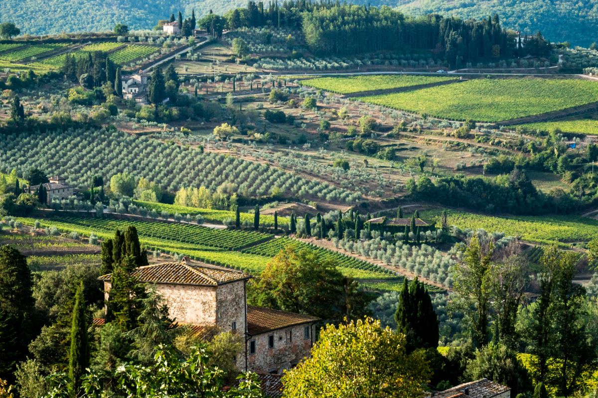 scenic green hills and old house