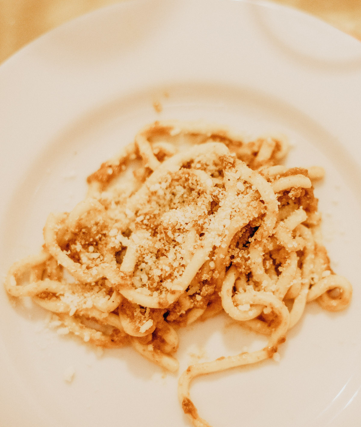 Close up of spaghetti dusted with cheese