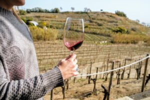 5 Vineyards Near Florence & How to Get There