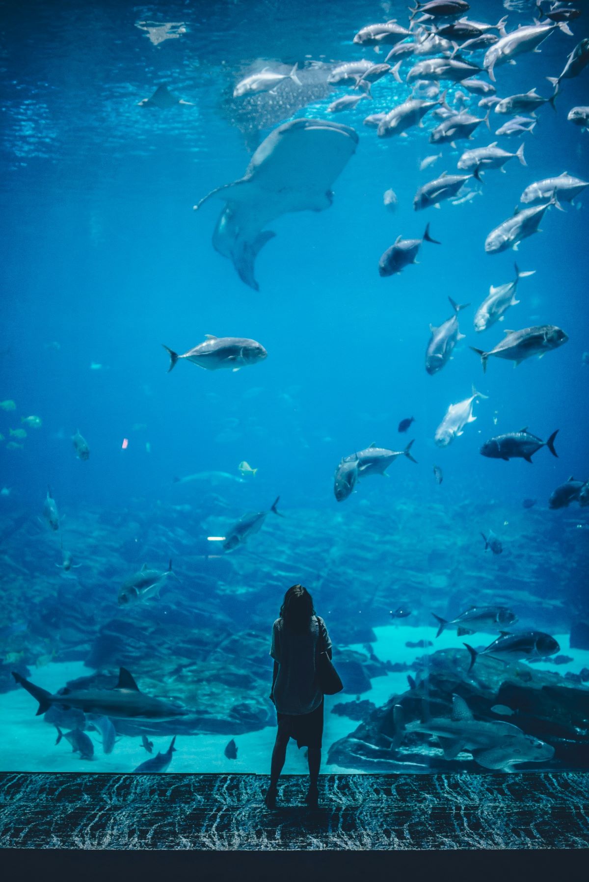 A woman looking at sea life at an aquarium 