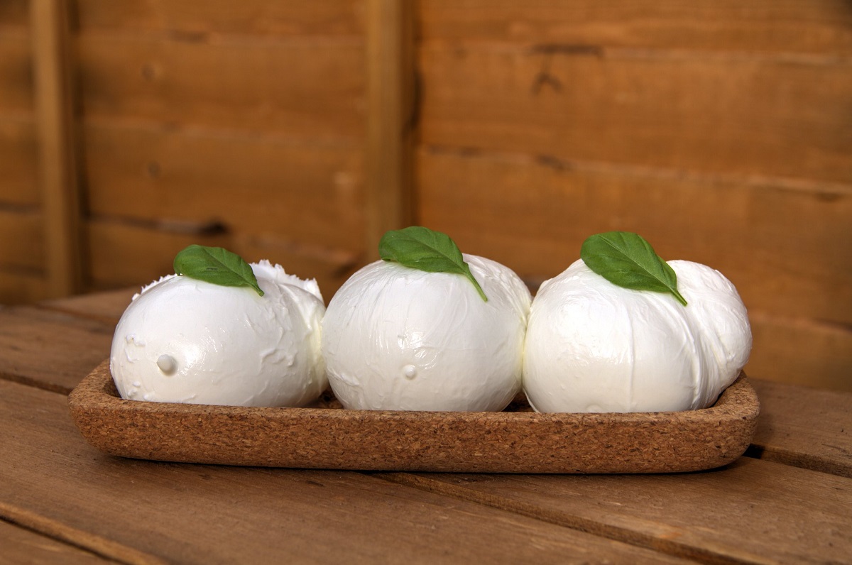 Six balls of fresh creamy mozzarella di buffala, or Italian Buffalo Mozzarella