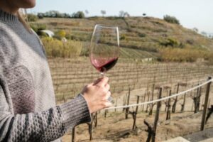Best Places in Madrid to Explore the World of Natural Wine