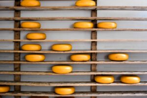 Exploring Dutch Cheese: A Comprehensive Guide