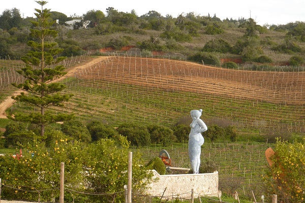 Looking for the best Portuguese wine in the Algarve? We suggest booking a wine tasting at Quinta dos Vales.