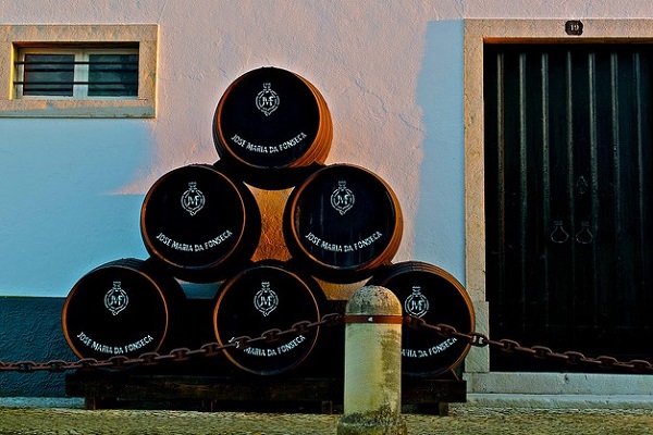 Moscatel is one of the best Portuguese wines produced in the region of Setúbal.