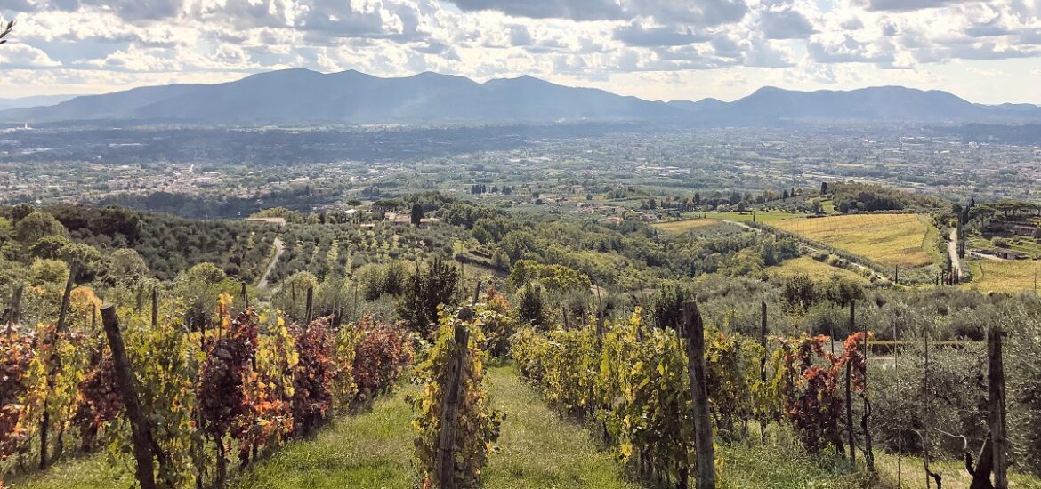 Enjoying the fruits of the grape harvest - in the form of vino, of course - is one of many seasonal Tuscan treats