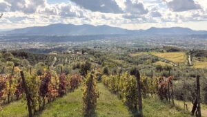 Florence in Fall: Plan Your Perfect Autumnal Visit