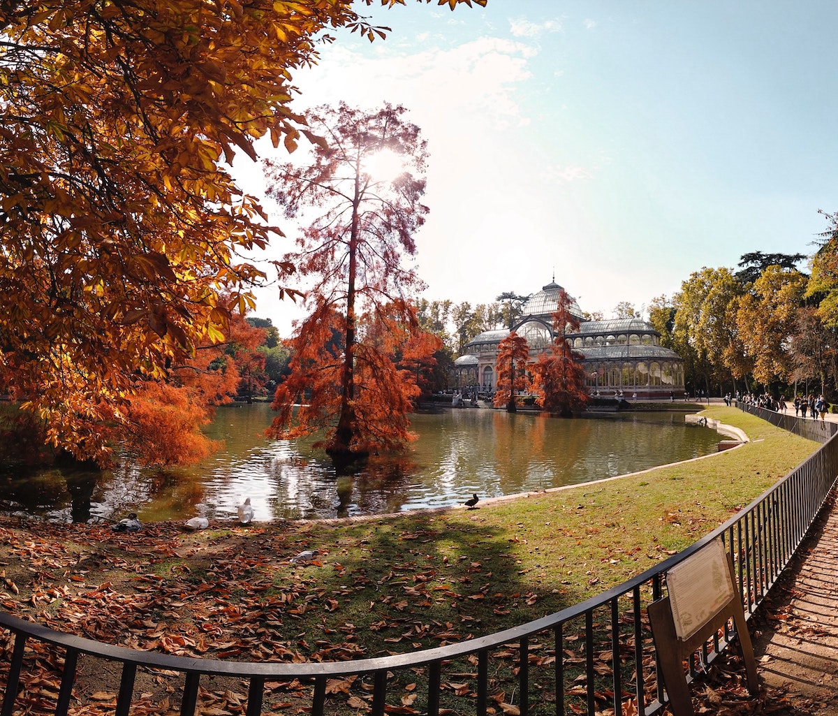 Orange trees in a park on a fall day with a small lake and clear glass structure in the background.