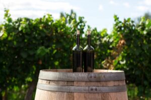 6 Unforgettable Wine Tours in Naples, Italy