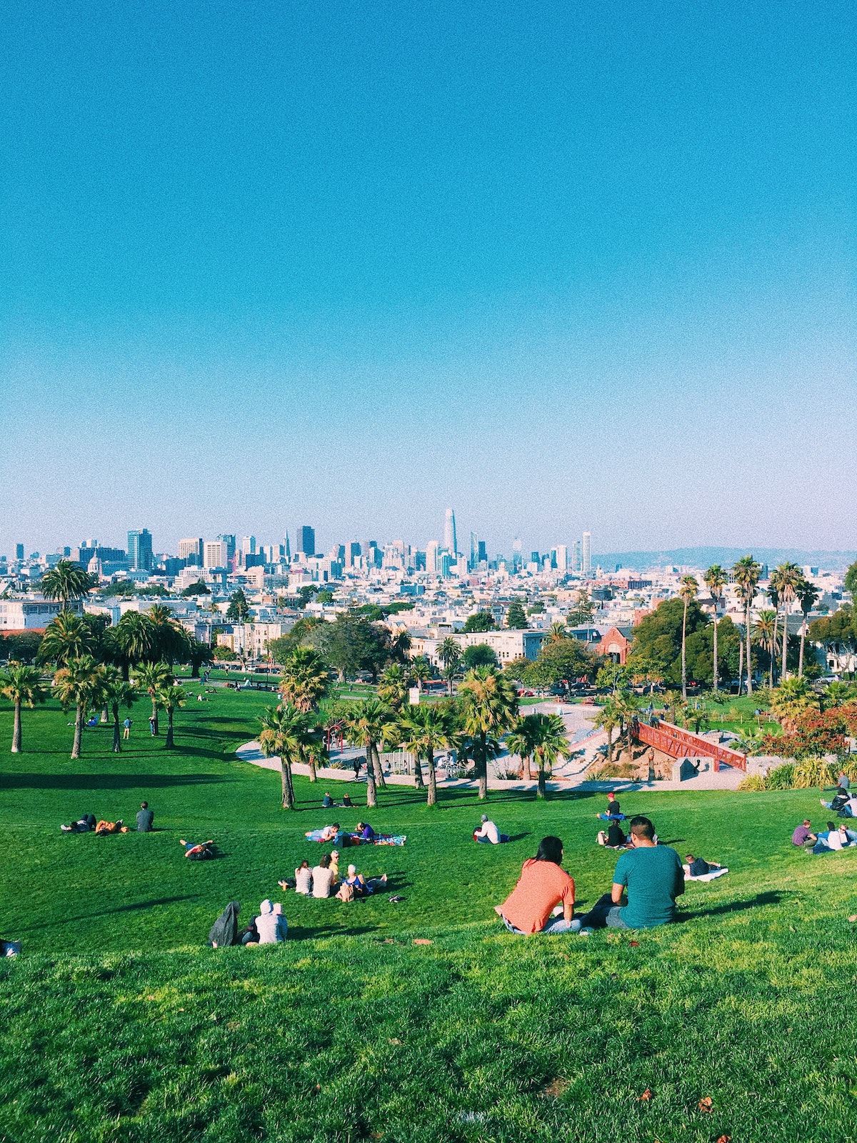 people enjoy a summer day in San Francisco sitting on a green lawn overlooking the city