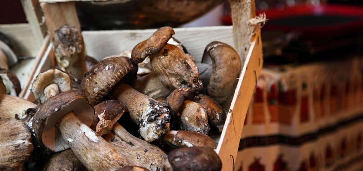 Venice food markets selling wild mushrooms.