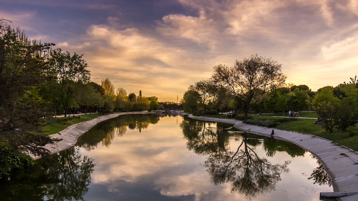 Sunset over a small pond in a park